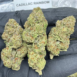 CADILLAC RAINBOW THCA FLOWER