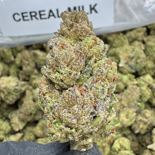 CEREAL MILK THCA FLOWER