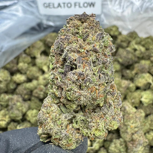 GELATO