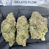 GELATO