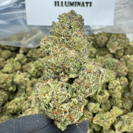 ILLUMINATI THCA FLOWER