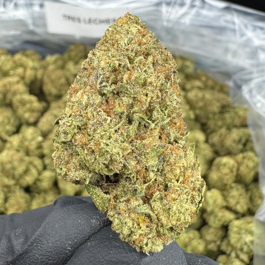 TRES LECHES THCA FLOWER