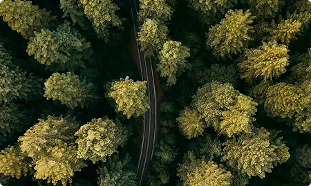 Donec venenatis nul psl consequat quis.